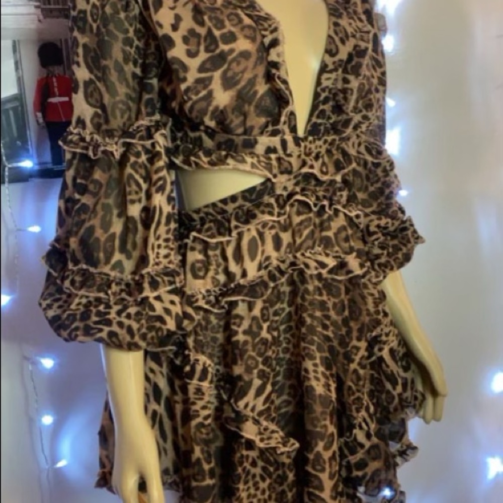 *New* Leopard Queen Ruffle Mini Dress - Picture 3 of 7